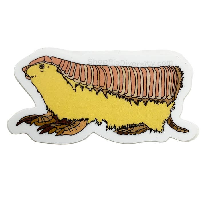 Shop BioDiversity - Wholesale Sticker - Pink Fairy Armadillo Vinyl Sticker - Cute Animal Decal