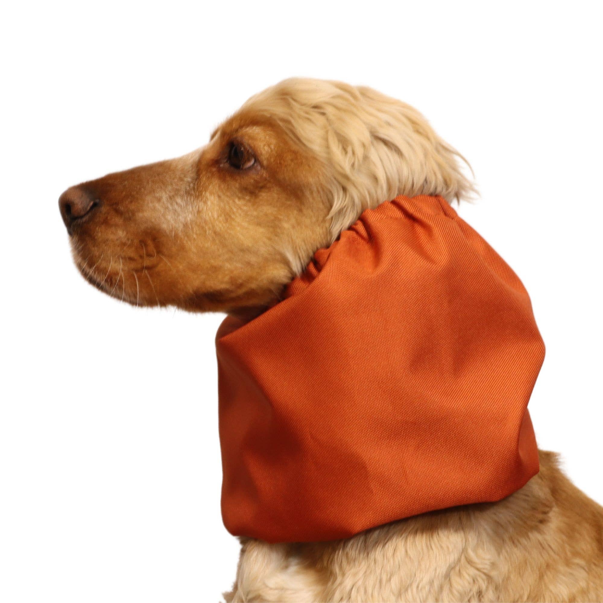 Distinguish Me - Venta al por mayor Protector de cuello para mascotas - Perros - Snood impermeable para perro | Naranja quemado2