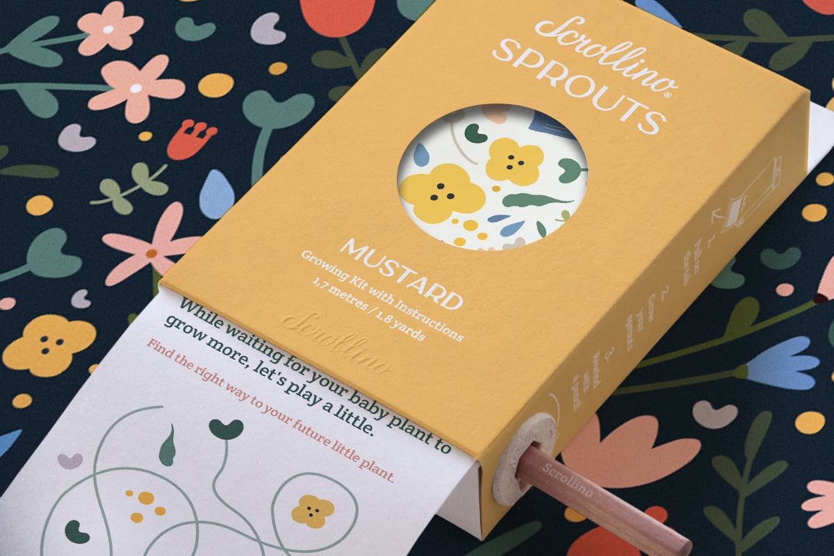 Scrollino - Wholesale DIY Craft Kit - Kids - Original Activity & Growing Kit - Scrollino Mustard Sprouts3