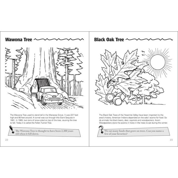 AdventureKEEN - Wholesale Coloring & Activity Book - Kids & Baby - Yosemite Activity Book3