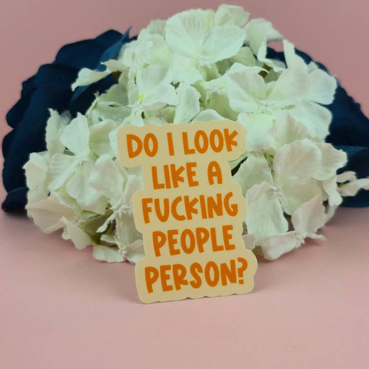 The Grumpy Tortoise - Wholesale Sticker - Waterproof Sticker - Do I look a people person? Single Sticker - Sarcastic Sticker - Funny Sticker - Sassy1