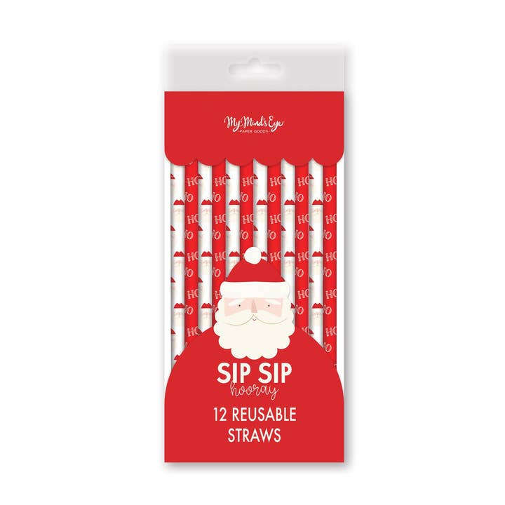 My Mind’s Eye - Wholesale Drinking Straw - BEC1016 - Believe Santa Reusable Straw Set0