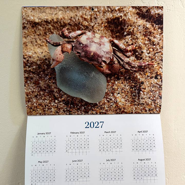 Etched by the Sea, Inc. - Wholesale Calendar - Beachcombing 2026 Wall Calendar7