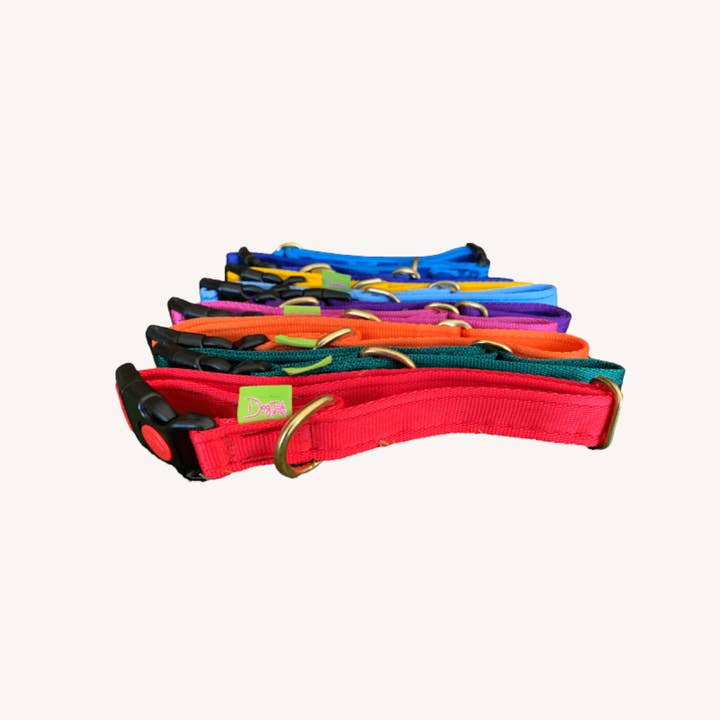 Collier Dogtools pour la vente par Dogtools