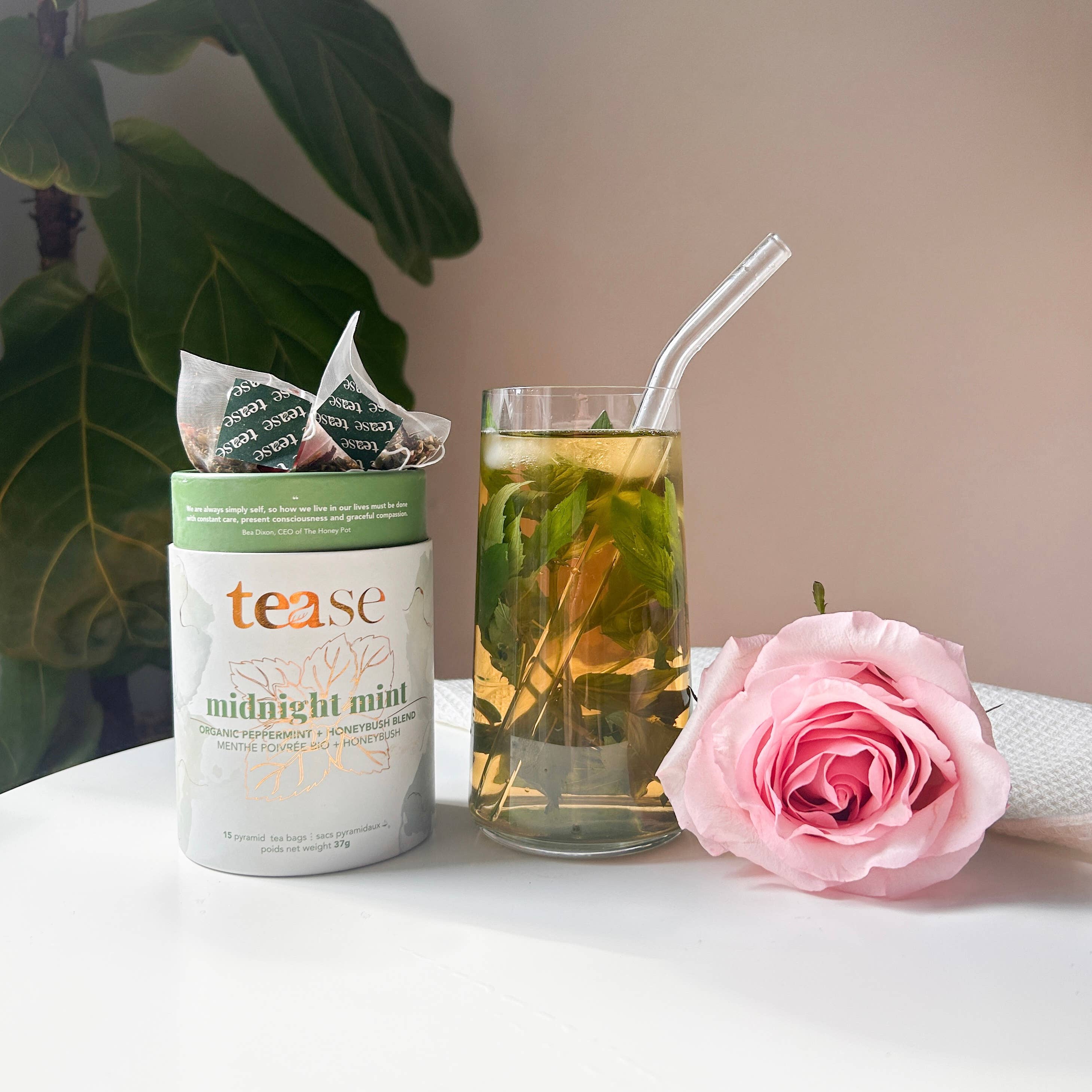 Tease | Wellness Tea Blends + Accessories – wholesale Health/detox tea – Midnight Mint | All Natural Biodegradable, Organic Tea Blend1