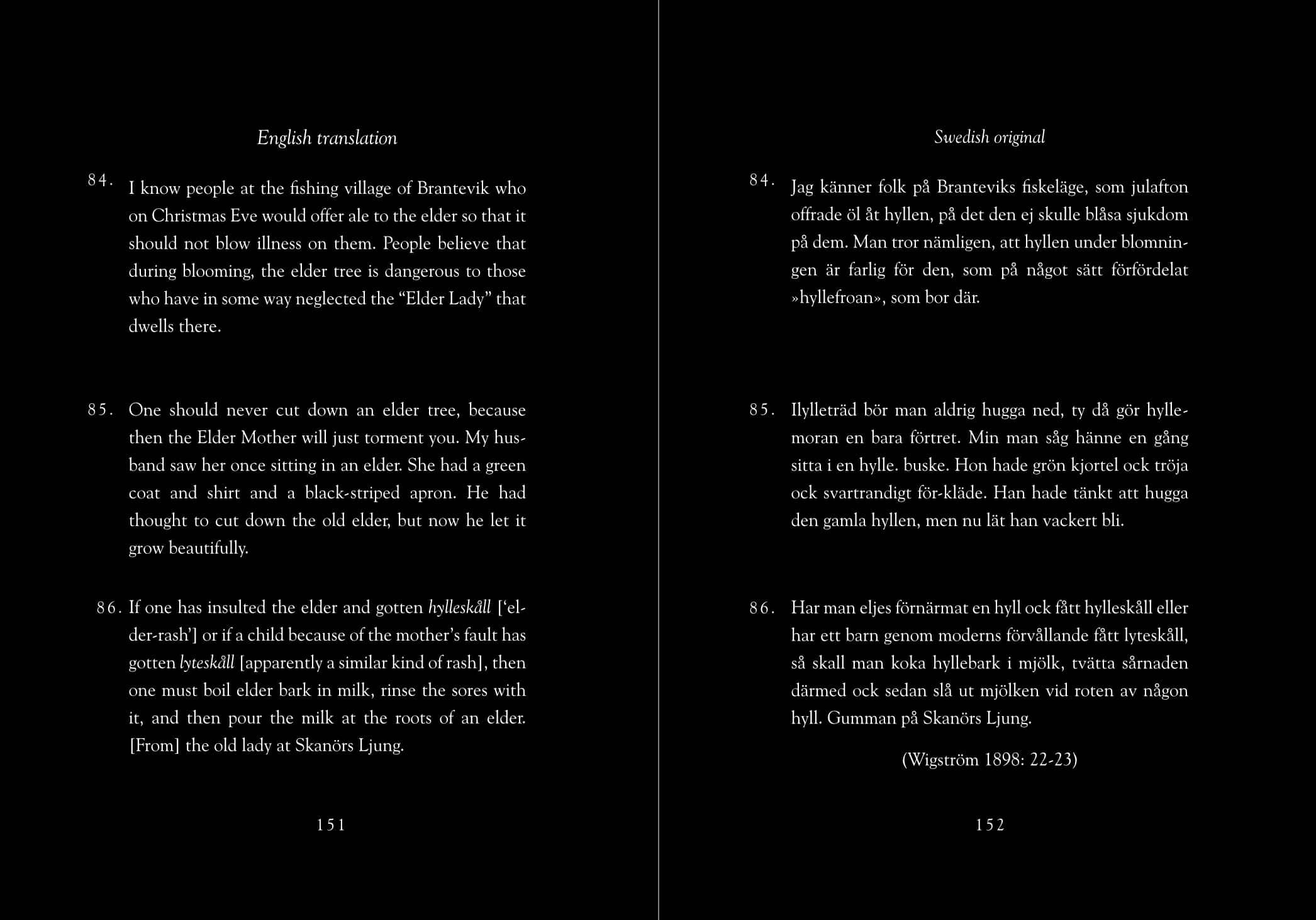 Hyldyr - Wholesale Nature & Outdoors - Lady Elder Tree: Northern Animism and Witchcraft9