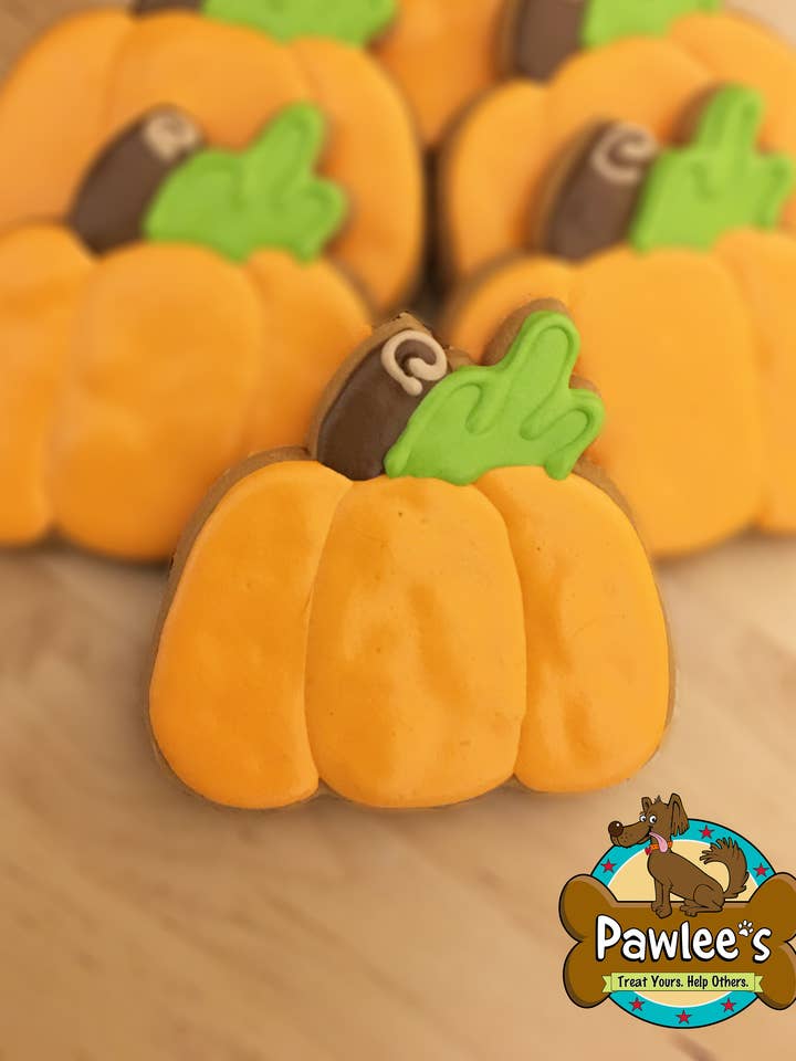 Biscotti Perfetti alla Zucca 10/Confezione per la vendita all'ingrosso da parte di Pawlee’s