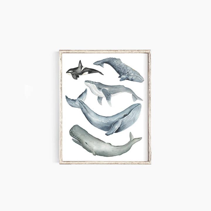 Baleines pour la vente par Emma Allen Design Studio