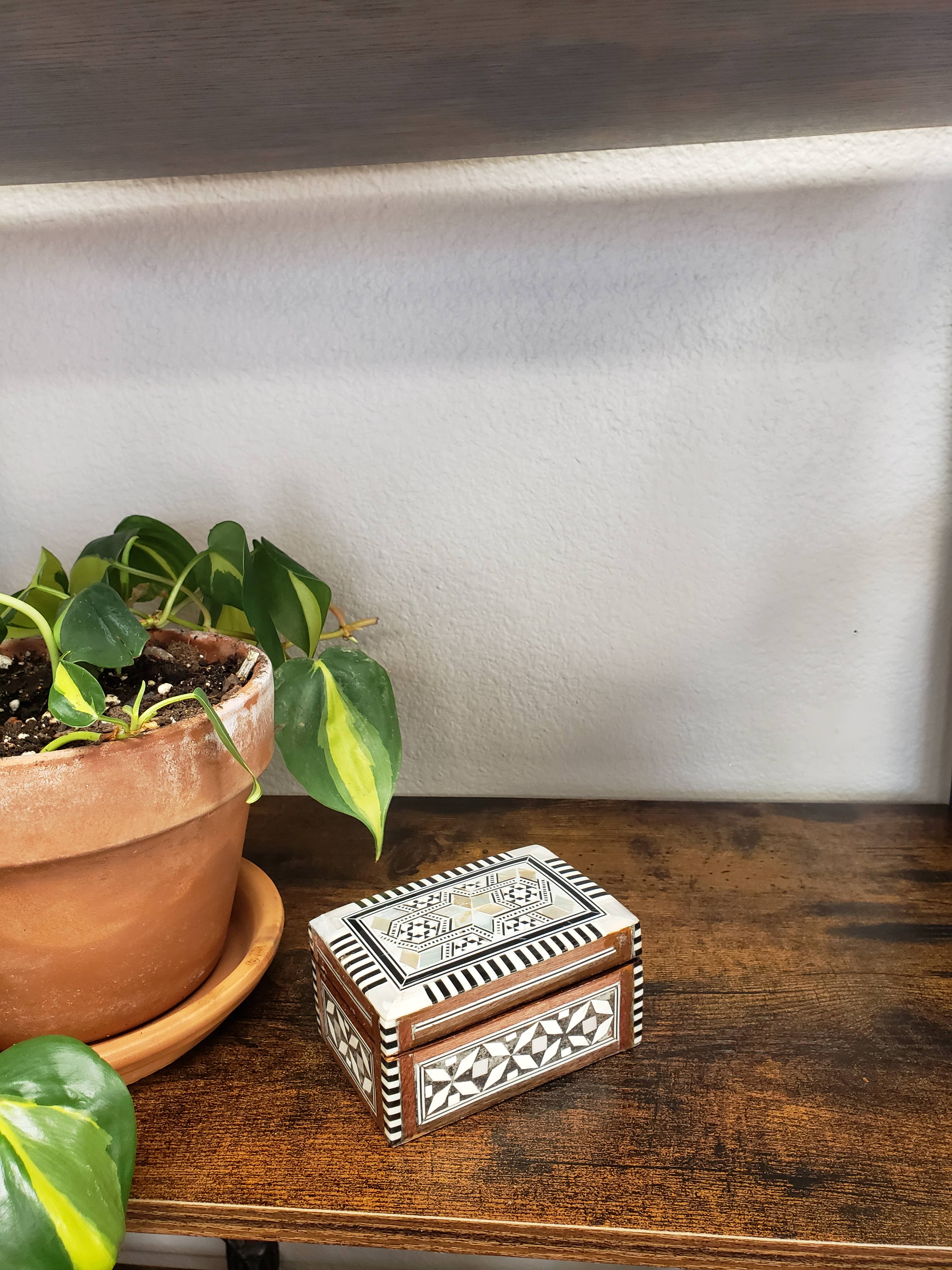 Discoveries, Inc. – wholesale Smyckeskrin och organisatörer – Inläggslåda Rektangulär Fodrad Liten - Tillverkad i Egypten2