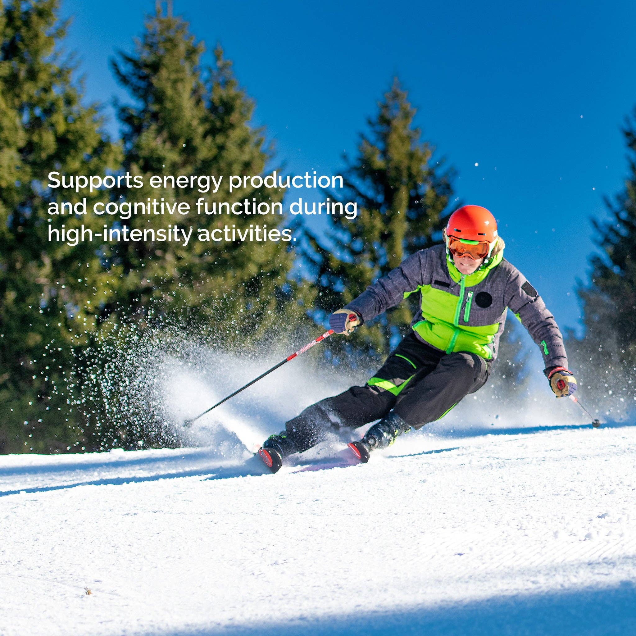 EarthNutri - Wholesale Oral Supplement/Vitamin - Pure Creatine made with Creapure®3