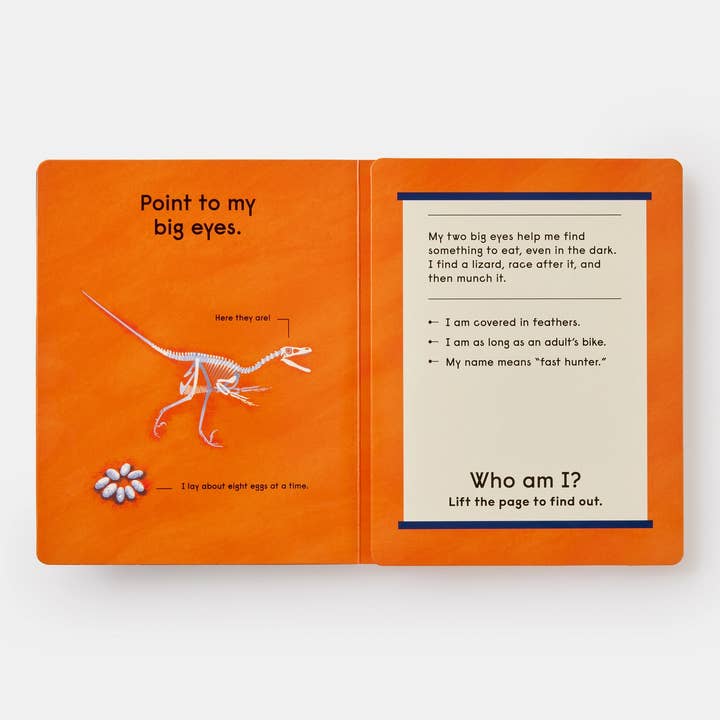 Phaidon - Wholesale Fantasy - Who's That Dinosaur?3