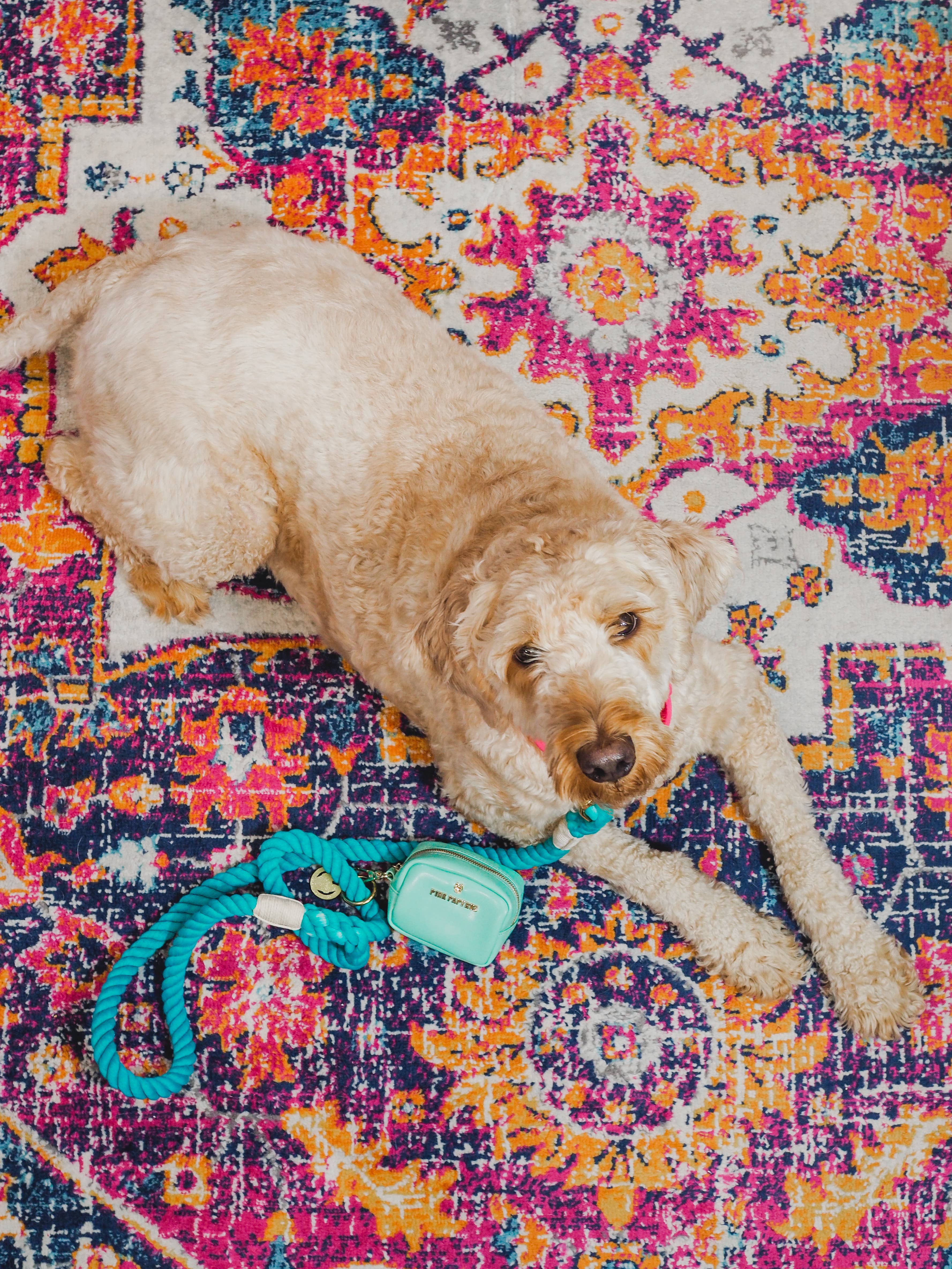 Pink Papyrus | Premium, Durable, & Stylish Dog Products - Wholesale Pet Leash - Dog - Ariel Rope Dog Leash | Dog Leash | Green Leash3