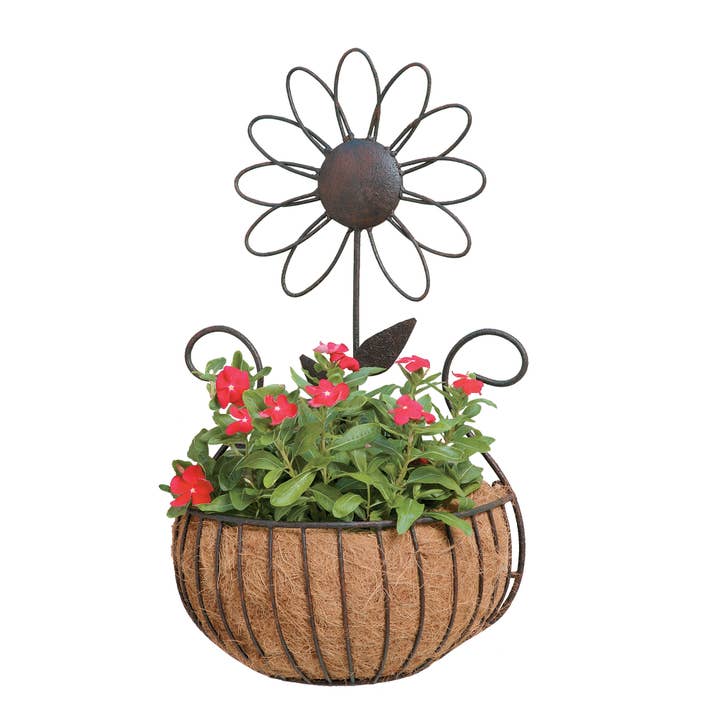 Daisy Wall Basket w/Coco for wholesale by Deer Park Ironworks