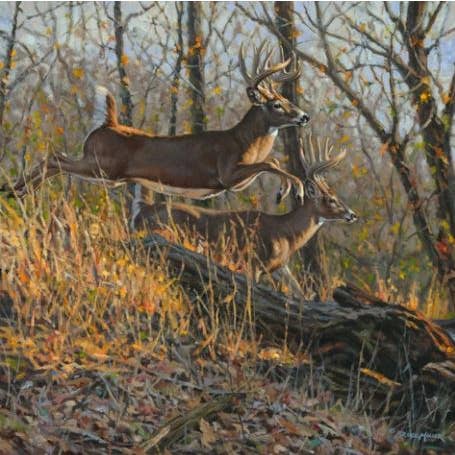 M3228-2P | Dream Drive Art Print for wholesale by Roslyn Décor