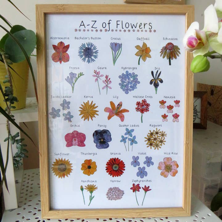 Kathryn Churn Designs – wholesale Art print – A-Z of Flowers' Print in A4 and A33