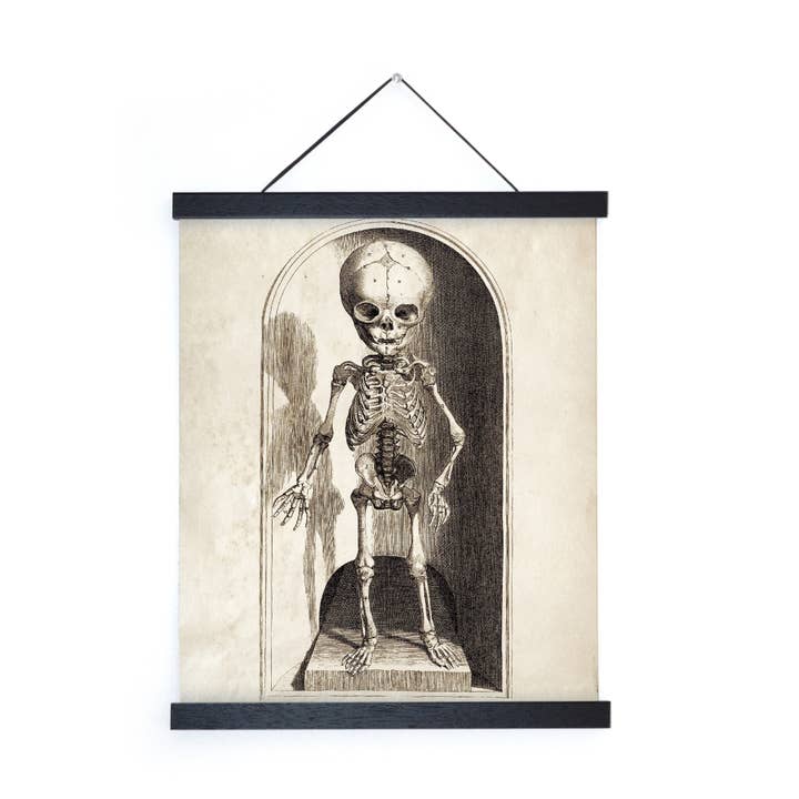 Anatomie vintage petit imprimé squelette avec cadre en option pour la vente par Curious Prints