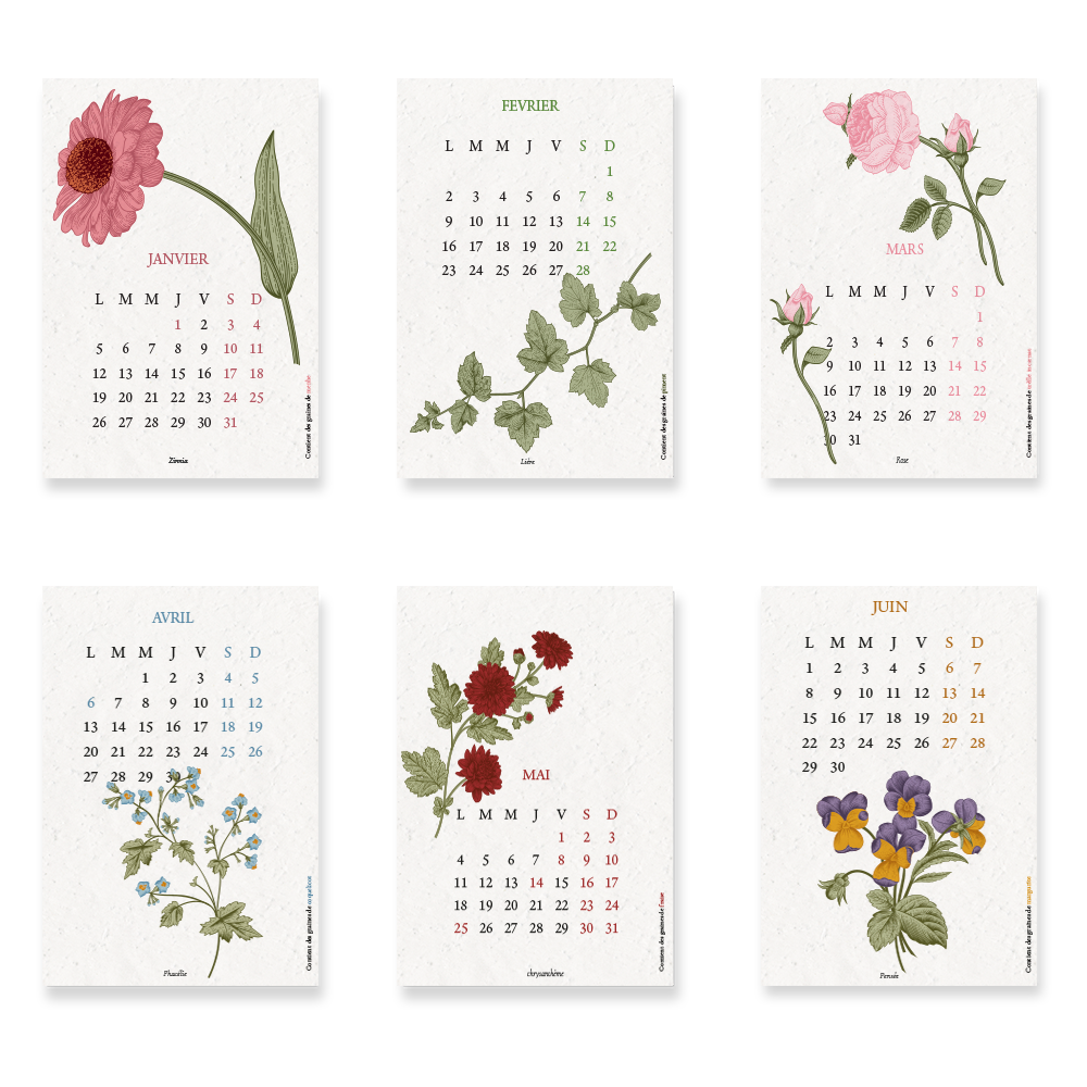Papier Fleur - Wholesale Calendar - 2026 Planting Calendar, Biodiversity, Large format2