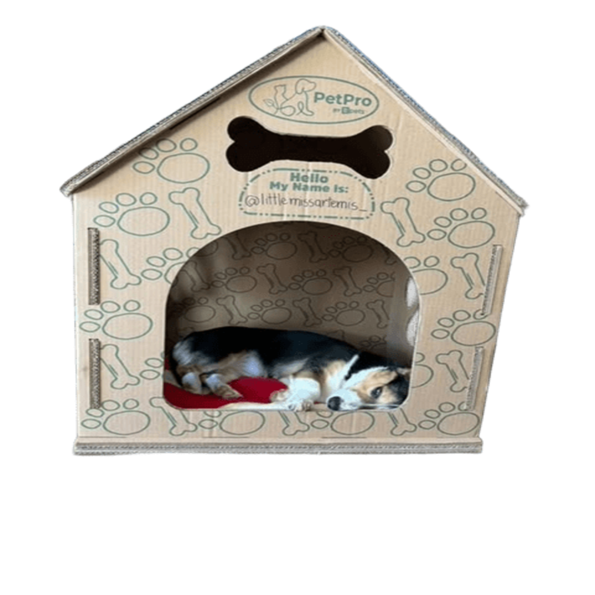 Designer Pet Products, LLC - Wholesale Pet Carrier - Cat/Dog -  Dog-Cat  House , Durable Cardboard Design9
