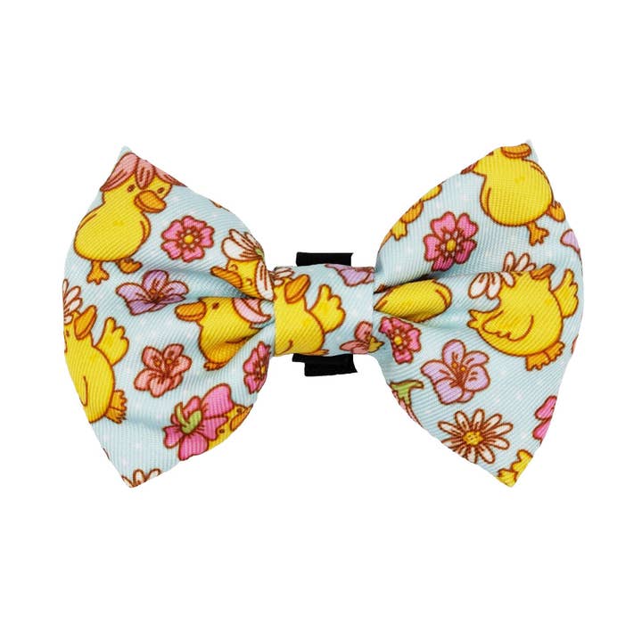 SASSY WOOF - Wholesale Pet Bow Tie - Cat - Cat Bowtie - Good Duck, Babe!
