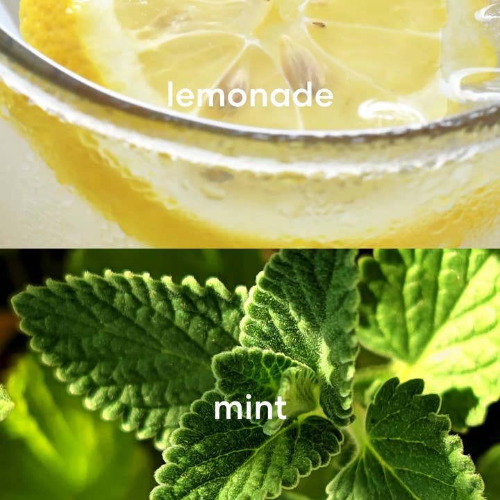 Literie - Wholesale Jar/Filled Candle - Weekends Playing Pickleball 3