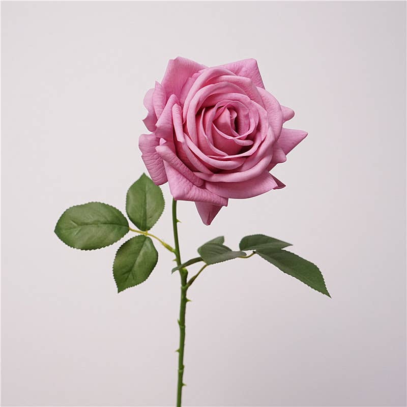 Angel Isabella - Wholesale Artificial Flowers - 26" Premium Real Touch Rose–Full & Elegant Bloom5