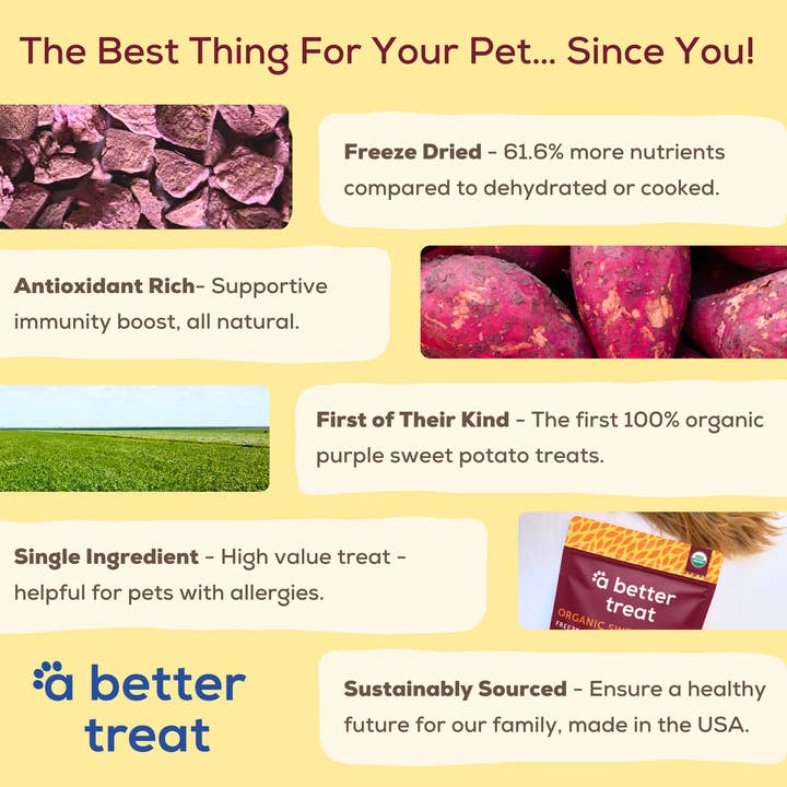 A Better Treat - Wholesale Pet Treats - Dog - Organic Freeze Dried Purple Sweet Potato Dog and Cat Treats