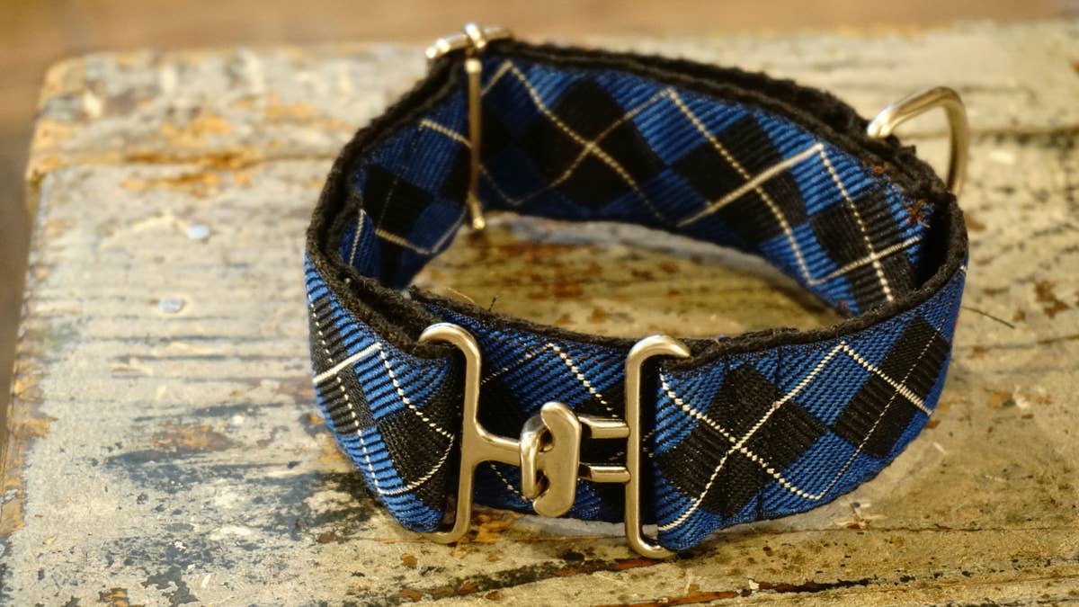 hundsfutter – wholesale Halsband - Hund – Brett hundhalsband i vattenavvisande nylon6