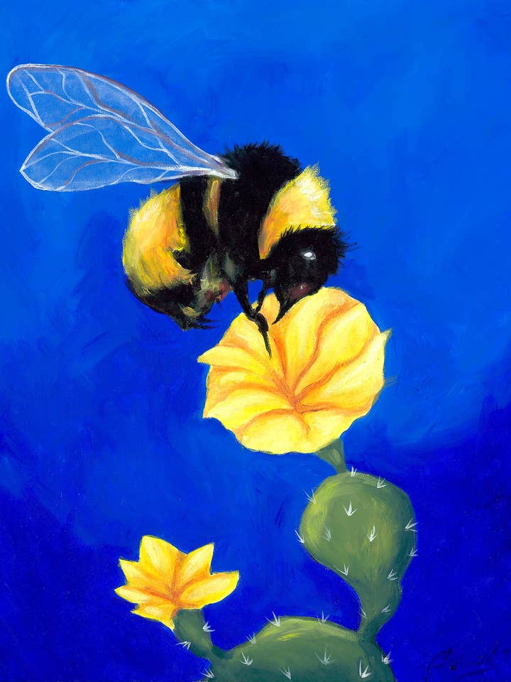 Humla på kaktusblomma - 9 ”x12" arkivgiclee-tryck för wholesale av Chris Granillo Art