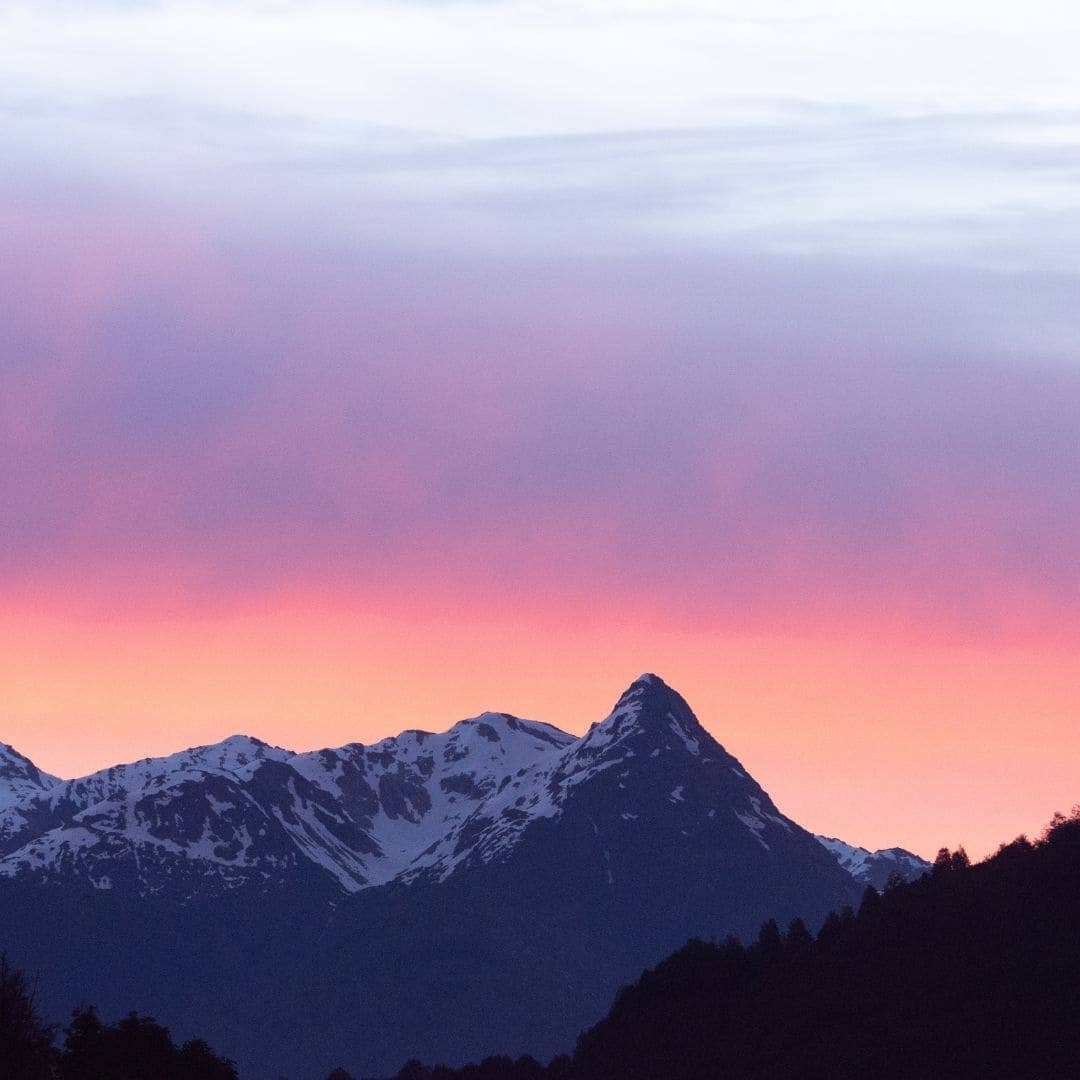 WOO World of Oils - Wholesale Bath/Body Oil - Rosehip Oil, 100% Organic9