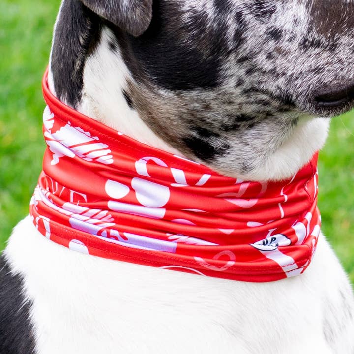 Hvalp Kærlighed Pup Scruff for engroshandel hos Pup Scruffs