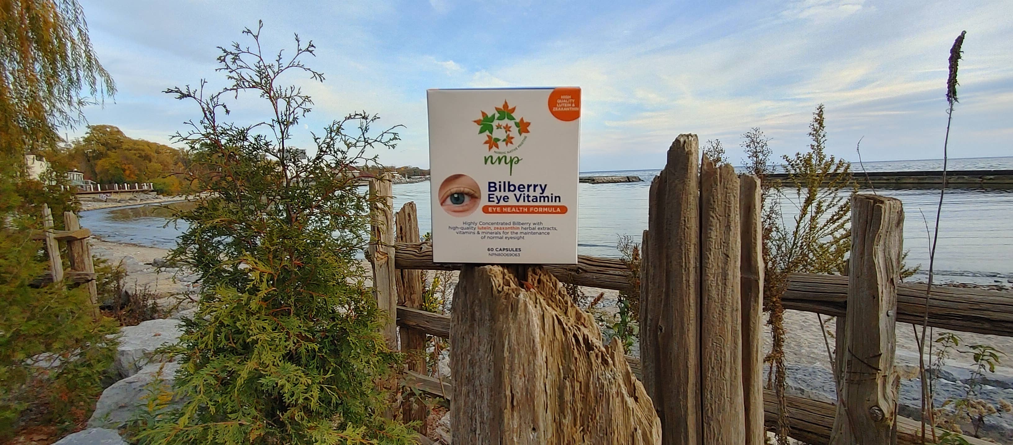 Nordic native pristine - Vente Supplément oral/vitamine - Méga vitamine pour les yeux à la myrtille1