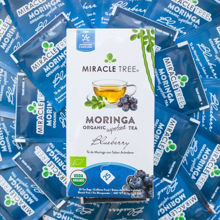 Miracle Tree - Wholesale Health/Detox Tea - Organic Moringa Tea: Blueberry