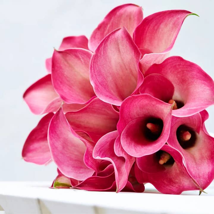 Calla Lily for wholesale by Barclay Mountain Candles