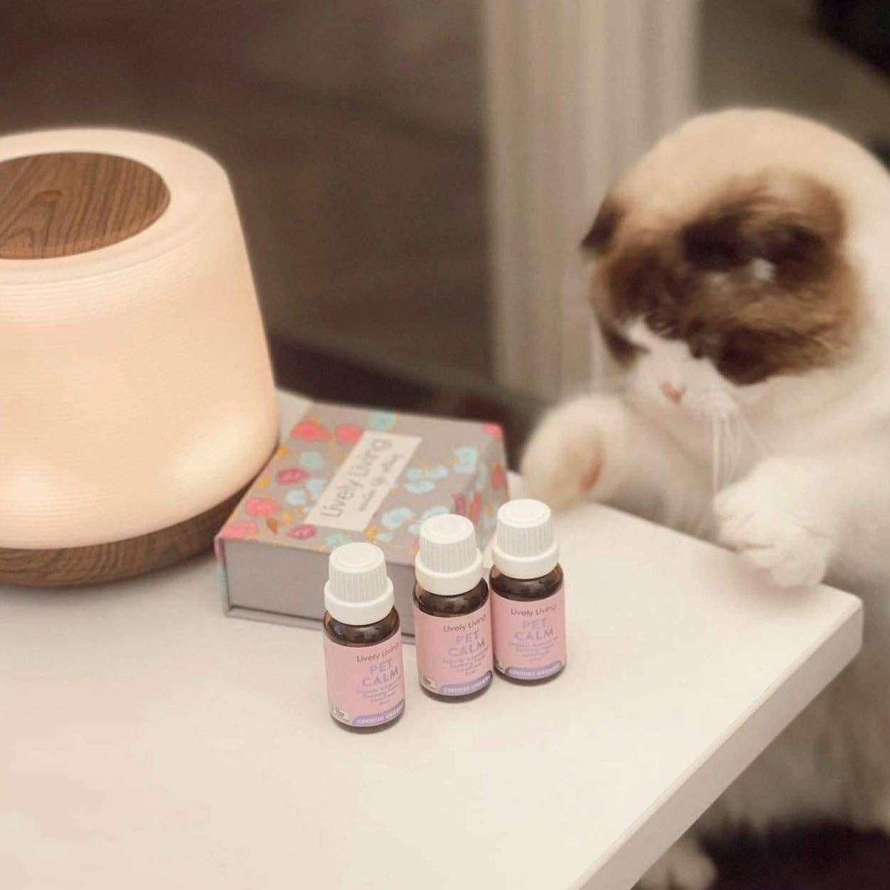 Lively Living - Wholesale Pet Supplement - Cat/Dog - Pet Calm - Certified Organic Essential Oil Blend 15ml9