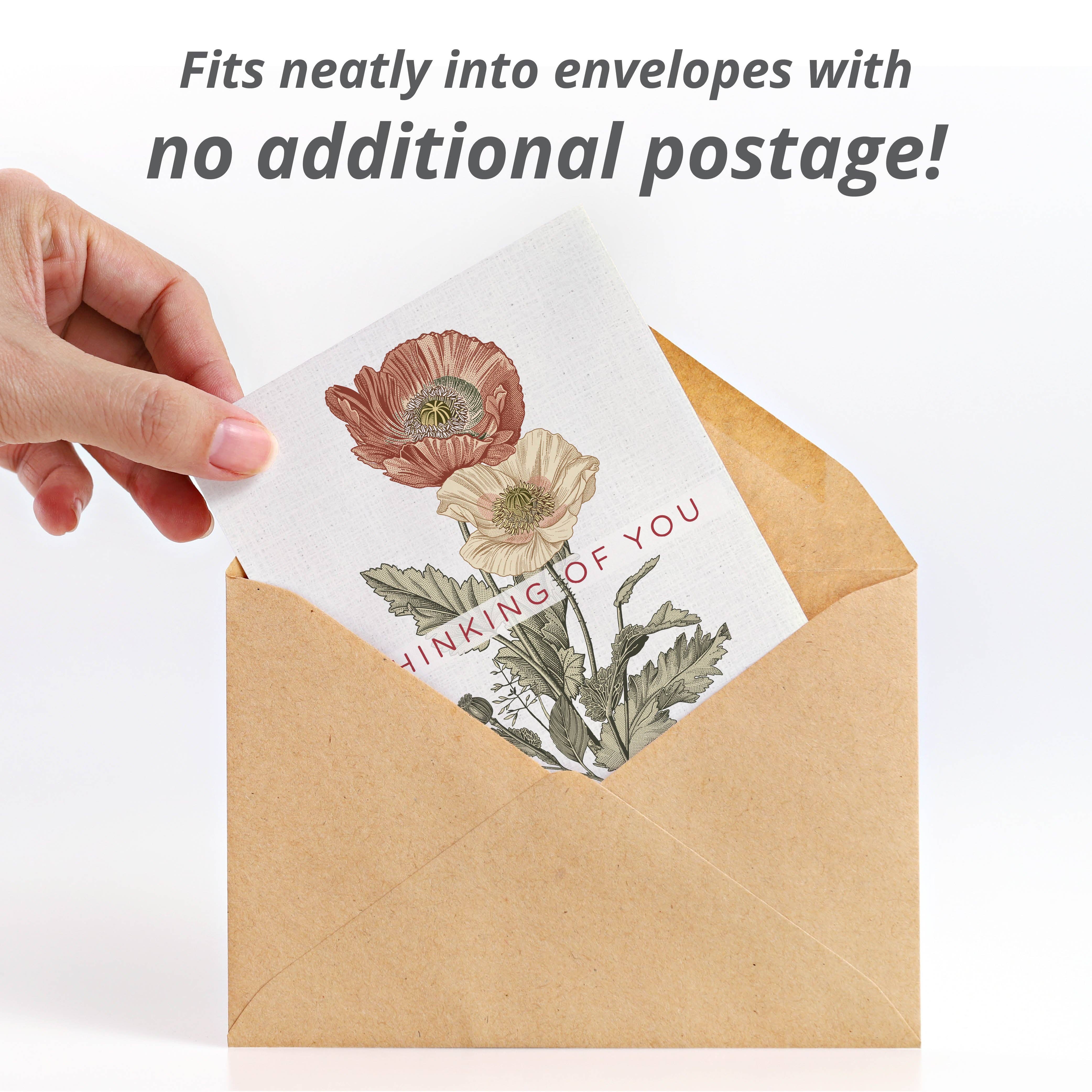 Bentley Seed Co. - Vente Carte « Je pense à toi » - Pensées pour vous Art classique vintage - Paquets de graines de coquelicot5
