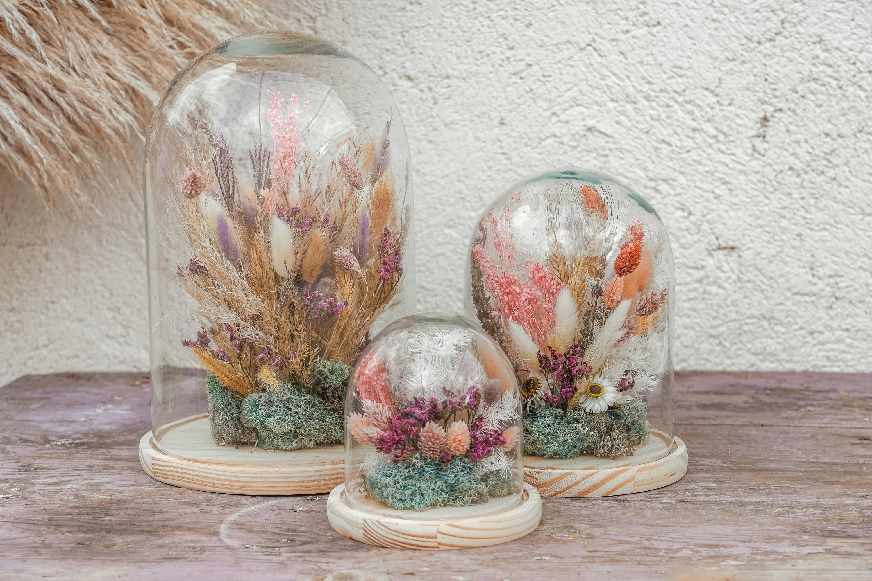 Nema Concept – wholesale Dried/pressed flowers – Dried Flowers Glass Dome | Glass Bell | Dried Flowers | Home Decor | Gift Ideas | Dried Flower Arrangements|Cloche| Rustic | Boho Decor..2