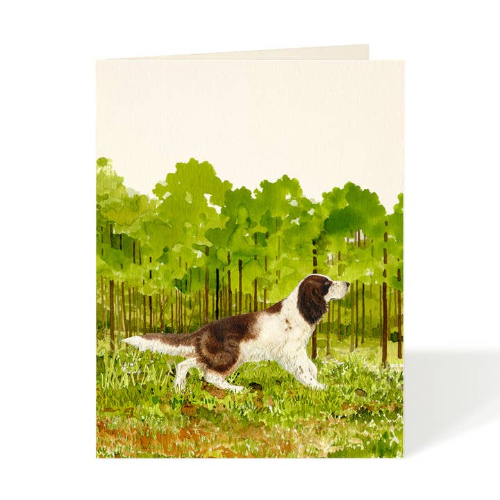 English Springer — Grußkarten mit Spanielhund für den Großhandel von Felix Doolittle
