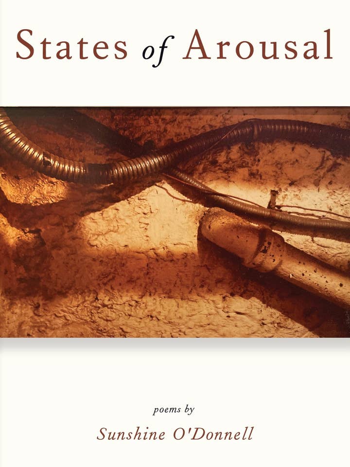 États d'excitation de Sunshine O'Donnell pour la vente par Trio House Press