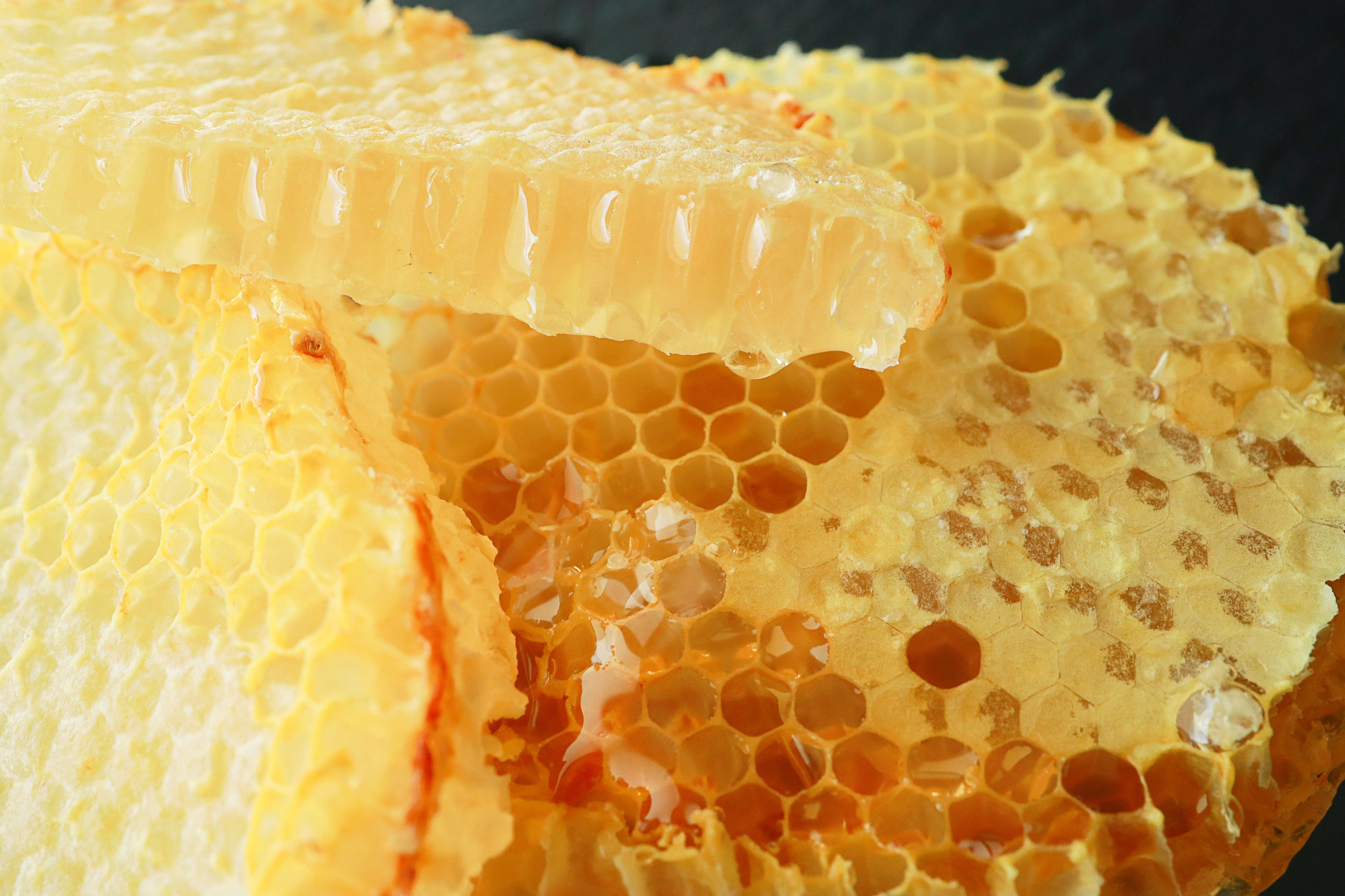 Rocky Mountain Honey Co. - Wholesale Honey - American Raw Honey Comb 8oz2