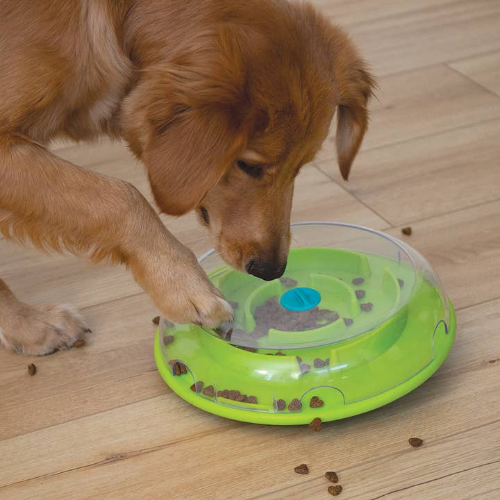 Pet Palette Distribution - Wholesale Pet Bowl - Cat/Dog - Nina Ottosson Wobble Slow Feeder Bowl Dog Game Blue/Green