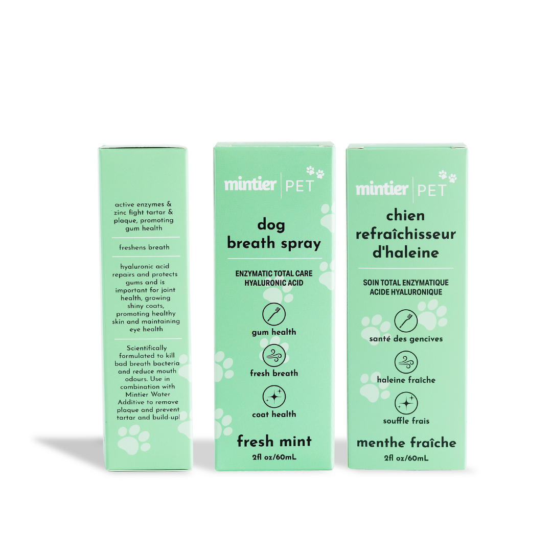 Mintier - Wholesale Pet Spray - Dog - Dog Breath Spray2