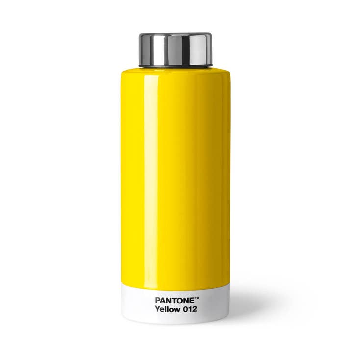 Bouteille à boire Thermo Steel pour la vente par Copenhagen Design / PANTONE