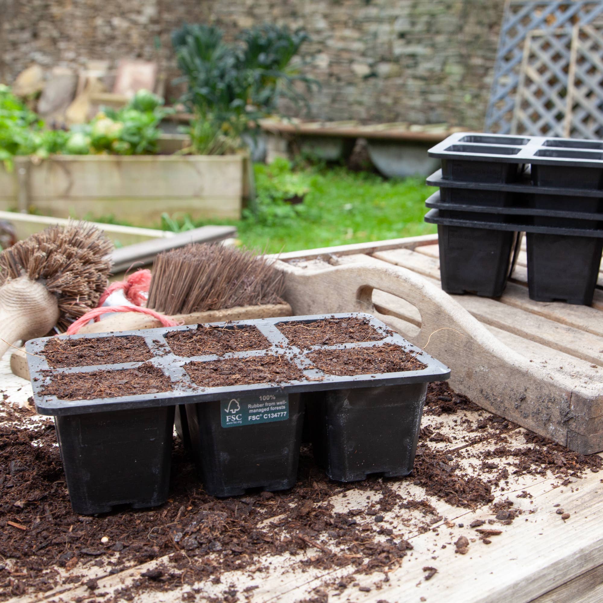 Wildlife World – wholesale Plant pot – 6 Cell XL Natural Rubber Seed Tray5