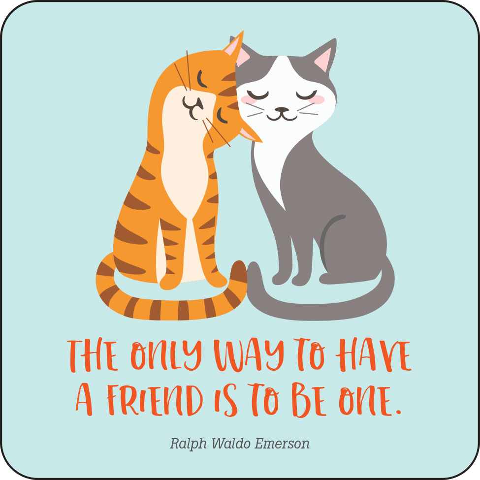 Peter Pauper Press - Vente Assortiments de papeterie/cartes - Notes de boîte à lunch de gentillesse pour enfants ! (Ensemble de 60 cartes)2