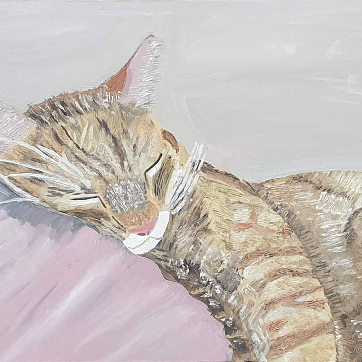 Rackett, chat endormi pour la vente par Amabel Illustrations