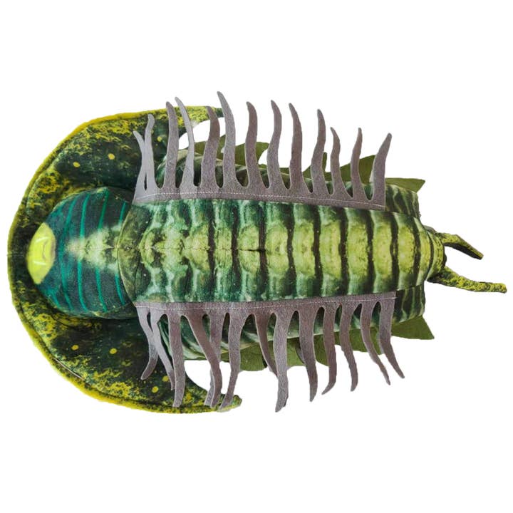 Texas Toy Distribution – Engroshandel Plyslegetøj - Børn og baby – Trilobite plys 12 „udstoppet dyr samlerobjekt fossile legetøj1