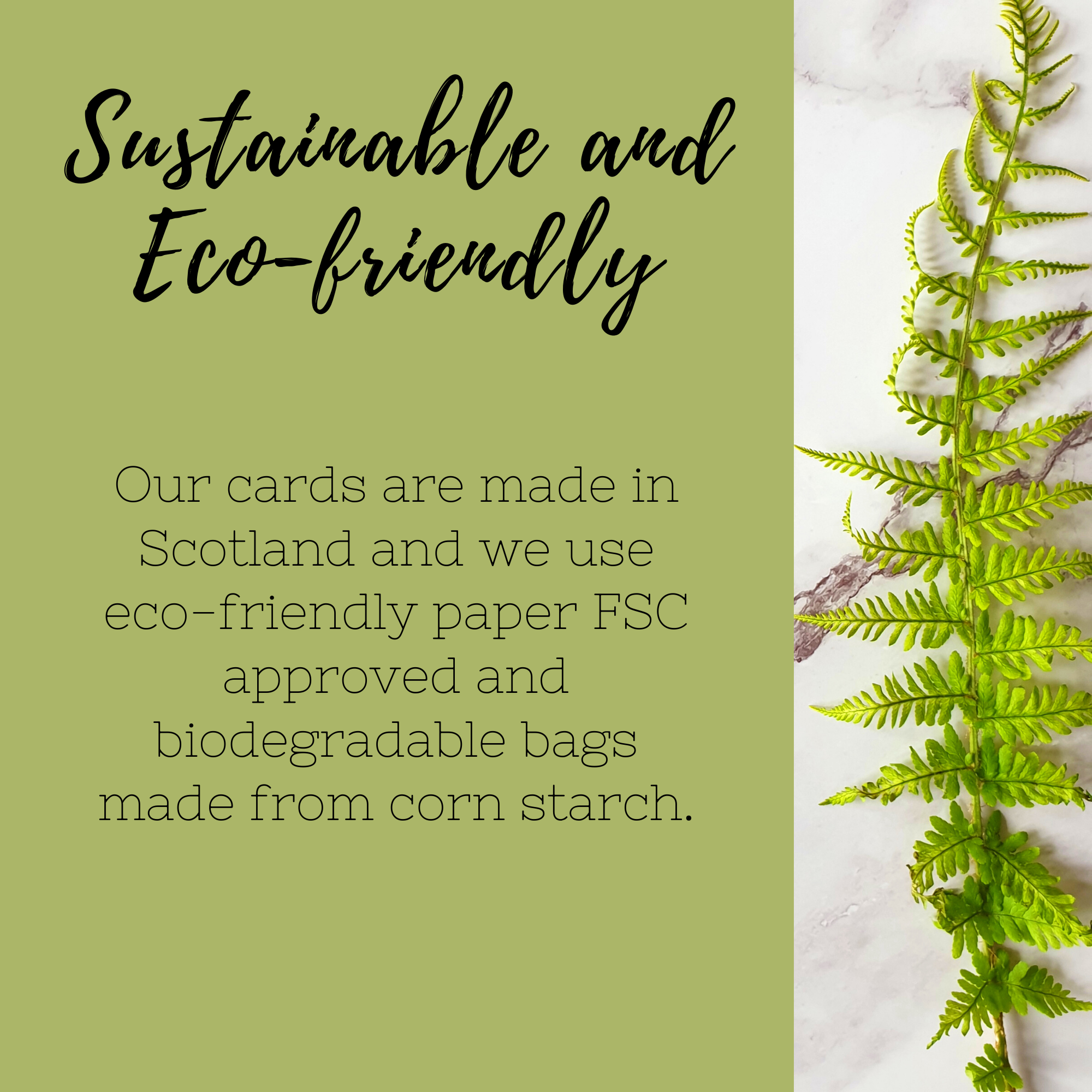 Ilana Ewing Designs - Wholesale Everyday Greeting Card - Happy New Home Card4