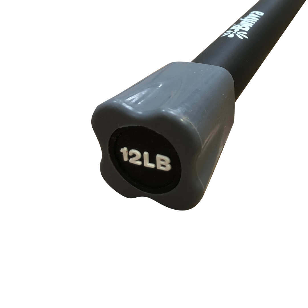 Bintiva - Wholesale Fitness Equipment - Bintiva Weighted Fitness Bars1