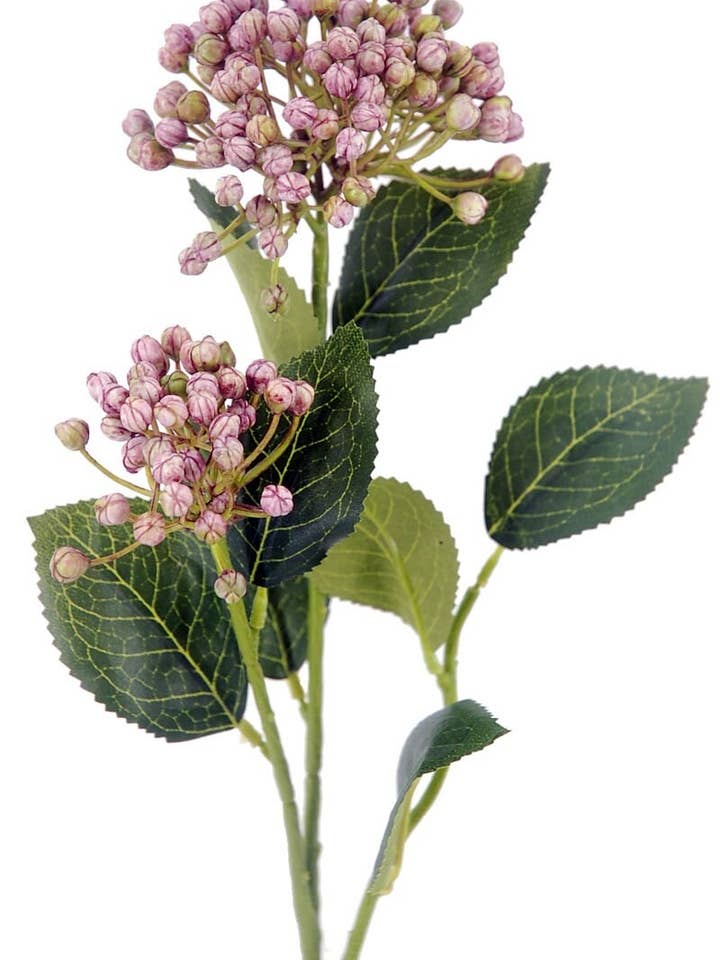 R.Hortens.X2 Glühbirne, 55 cm, Malvenfarben für den Großhandel von Aguilar Málaga