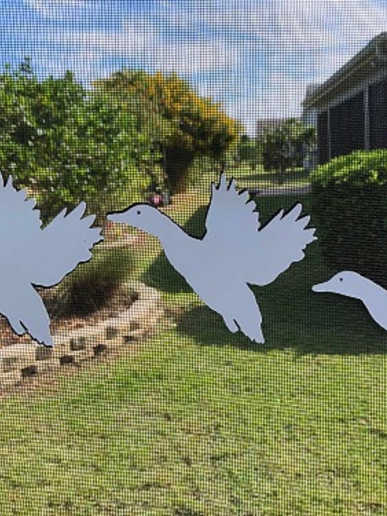 DCentral Three Flying Ducks Flexible Screen Magnets 4.8"x3.5 for wholesale by DCentral Magnetics